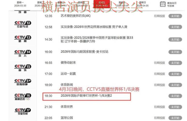 世界杯买球平台解析报告：高清直播+直播与实际体验总结 - 世界杯全球总决赛